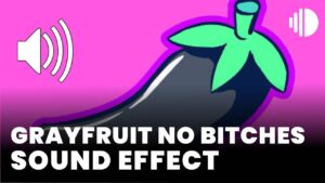 GrayFruit No bitches Sound Effect download