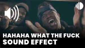 Hahaha what the fuck Sound Effect download