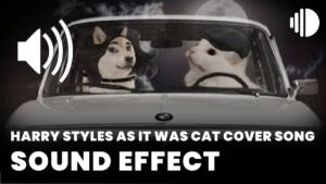Harry Styles As It Was Cat Cover Song Sound Effect download