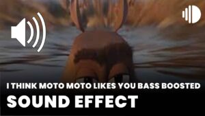 I Think Moto Moto Likes You Bass Boosted download