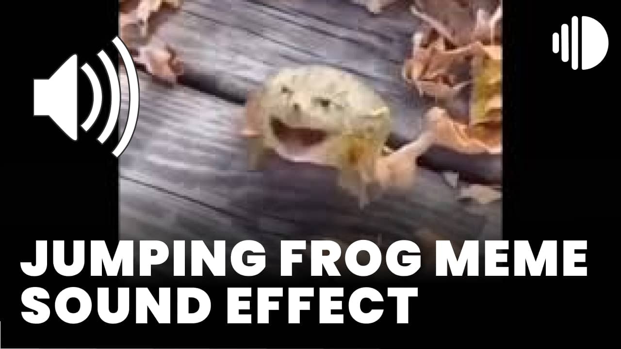 Jumping frog meme - MP3 Download