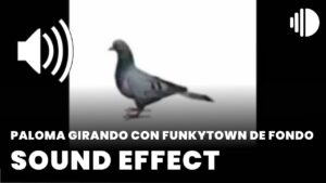 Paloma Girando con Funkytown de fondo Sound Effect download