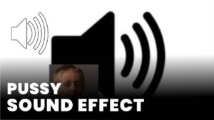 Pussy Sound Effect download