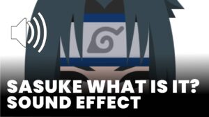 Sasuke What is it? Sound Effect download