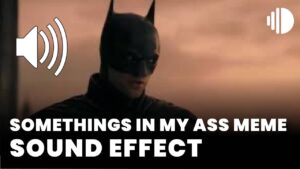 Somethings in my ass meme Sound Effect download
