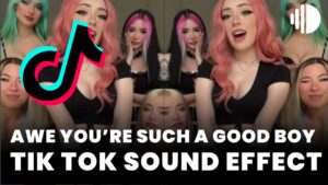 Awe You’re Such a Good Boy Tik Tok Sound Effect- memesoundeffects.com
