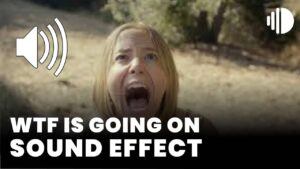 WTF is going on Sound Effect download