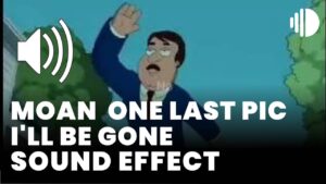 moan One last pic I'll be gone Sound Effect