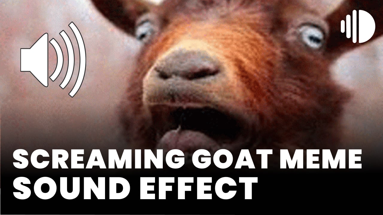 Screaming Goat Meme - MP3 Download