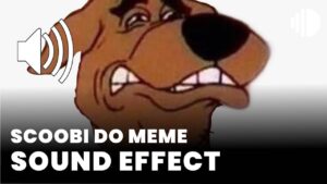 scoobi do meme download