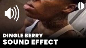 DINGLE BERRY download