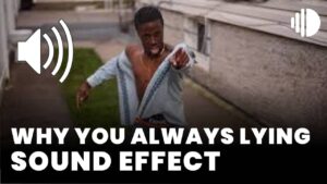 Why You Always Lying Sound effect download