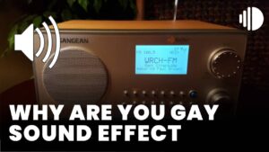 Why are you gay Sound Effect download
