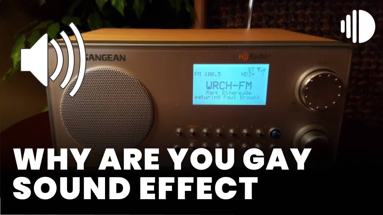 Why are you gay Sound Effect - MP3 Download