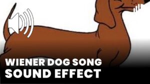 Wiener Dog Song download