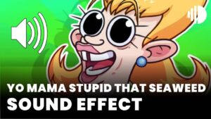 Yo Mama Stupid That Seaweed Sound Effect download