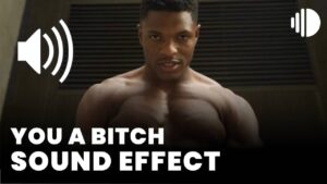 You a bitch Sound Effect download