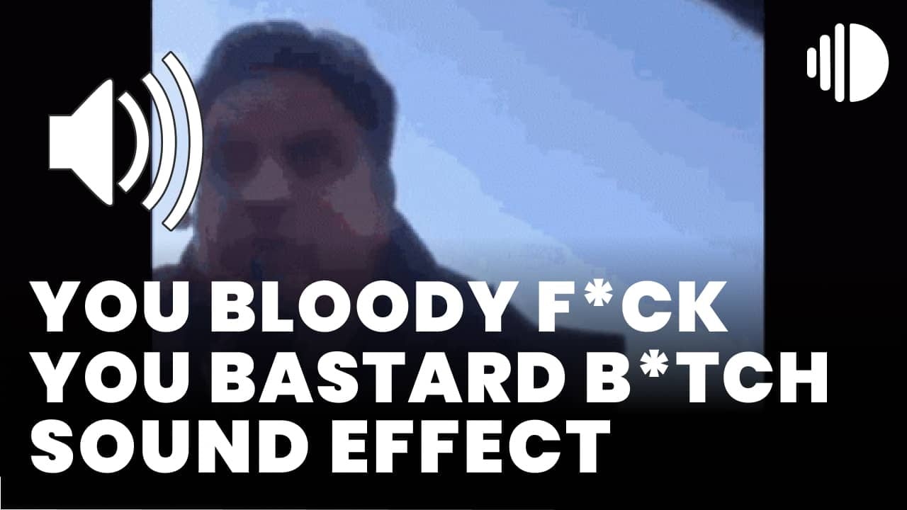 You bloody fuck you bastard bitch Meme Sound Effect download