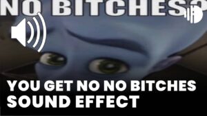 You get no No bitches Sound Effect download