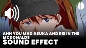ahh you mad asuka and rei in the mcdonalds download