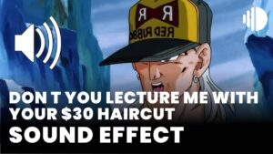 dont you lecture me with your $30 haircut download