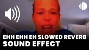 ehh ehh eh slowed reverb Sound Effect download