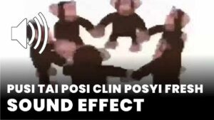 pusi tai posi clin posyi fresh download