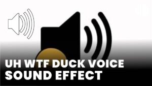 uh wtf duck voice sound effect download