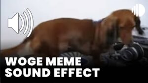 woge meme sound effect download