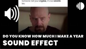 Do you know how much I make a year Sound Effect download