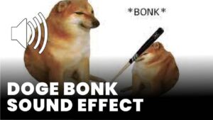 Doge bonk download