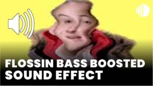 Flossin Bass Boosted download