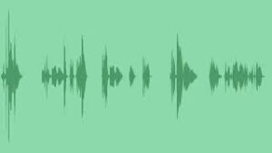 Minions Voice Sound Effects download