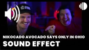 Nikocado Avocado Says Only In Ohio download