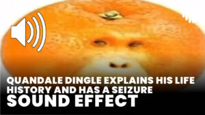 Quandale dingle explains his life history and has a seizure download