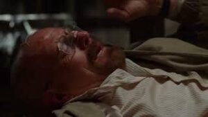 breaking bad please just download
