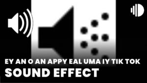 ey an o an appy eal uma iy Tik Tok Sound Effect download