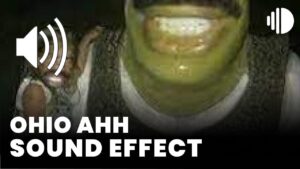 ohio ahh Sound Effect 💀 download