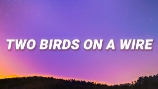 2 birds on a wire download