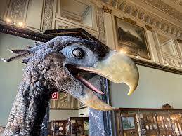 BIGGEST BIRD download