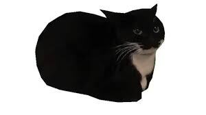 MAXWELL CAT SOUND EFFECT download