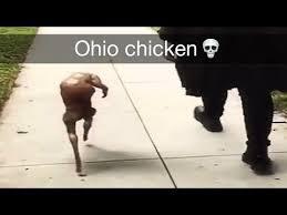 swag like ohio sound effect download