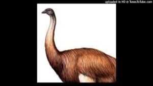 IM DA BIGGEST BIRD FULL download