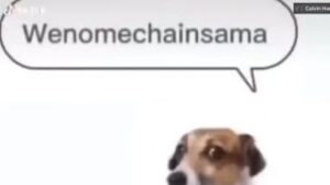Wenomechinsama download