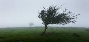 Wind Howling Sound Effect download
