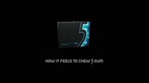chew 5 gum download