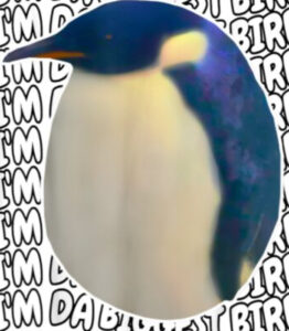 da biggest bird download