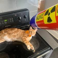Nuke Radio nuke in pussy download