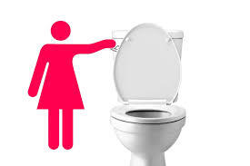 flush download