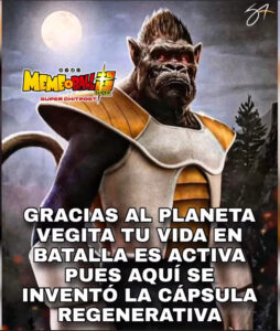 EMPIECEN A RESPETAR MÁS A VEGITA POR FAVO download